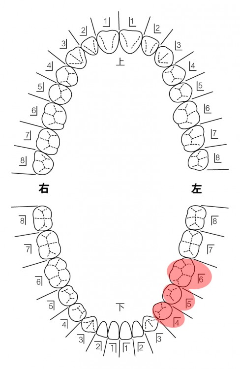 患者さんの希望を伺い治療計画を立てます