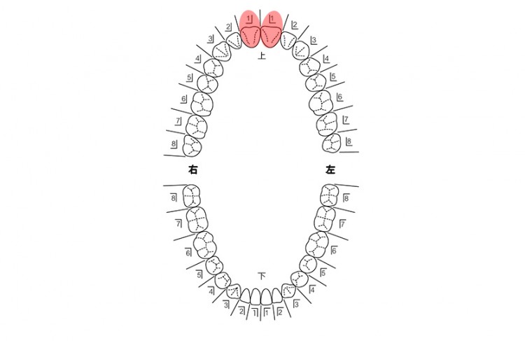 患者さんの希望を伺い治療計画を立てます