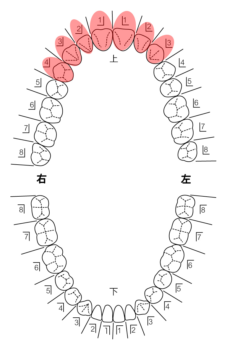 患者さんの希望を伺い治療計画を立てます