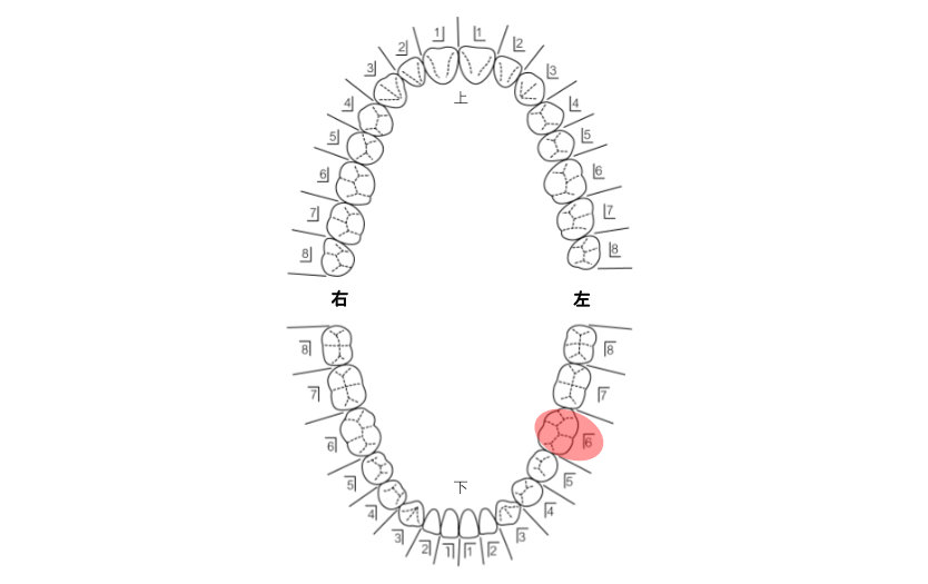 患者さんの希望を伺い治療計画を立てます