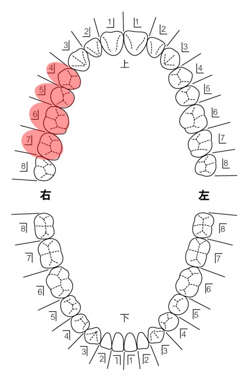 患者さんの希望を伺い治療計画を立てます